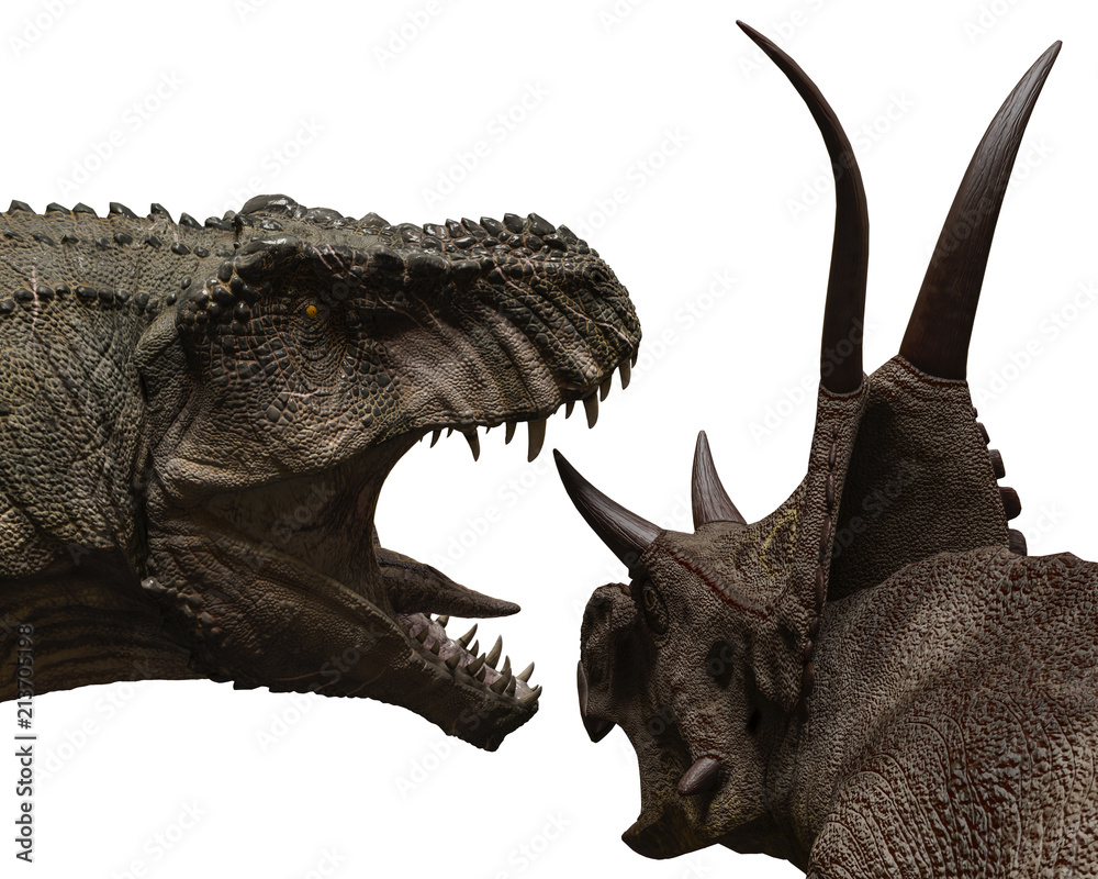 Fototapeta premium t-rex vs diabloceratops