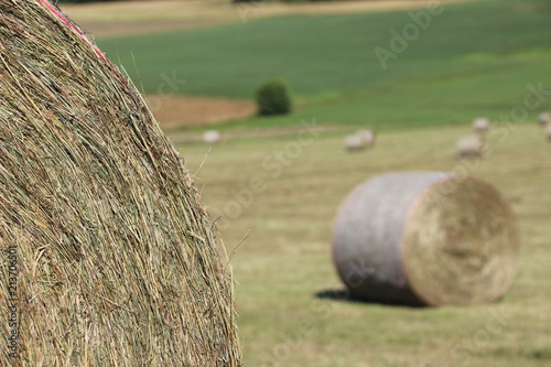 Erntezeit, Heuballen  photo