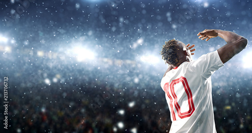 Soccer player celebrates a victory on the professional stadium while it’s snowing. © haizon