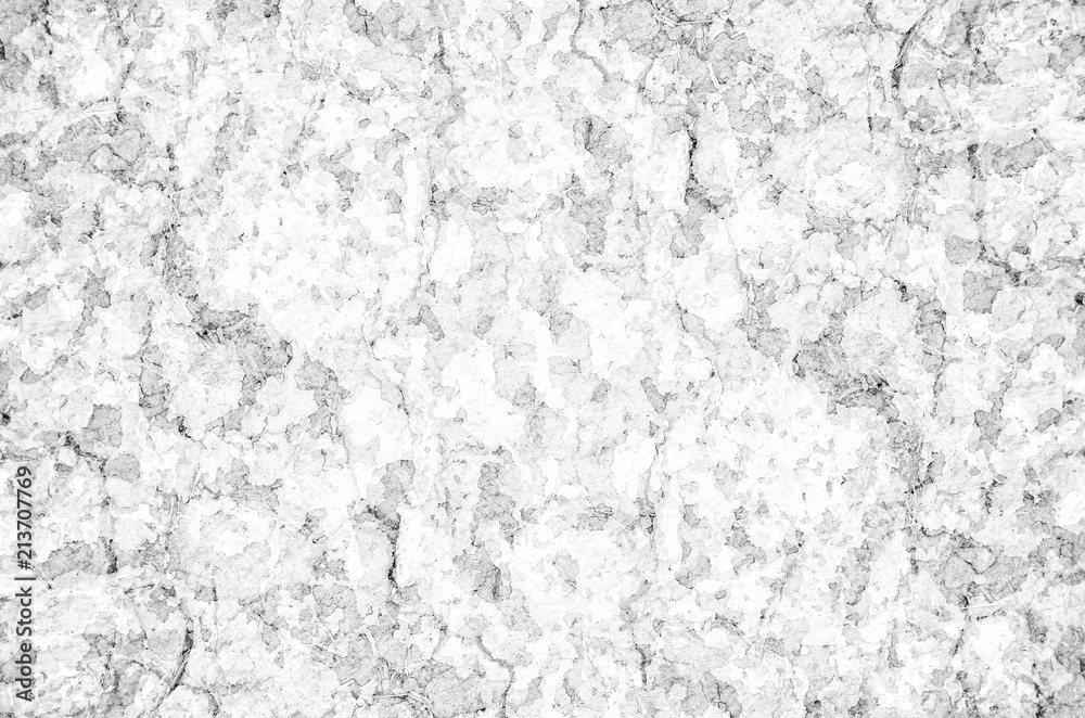 vintage black and white gray abstract background with old cracked paint textured, camouflage.
