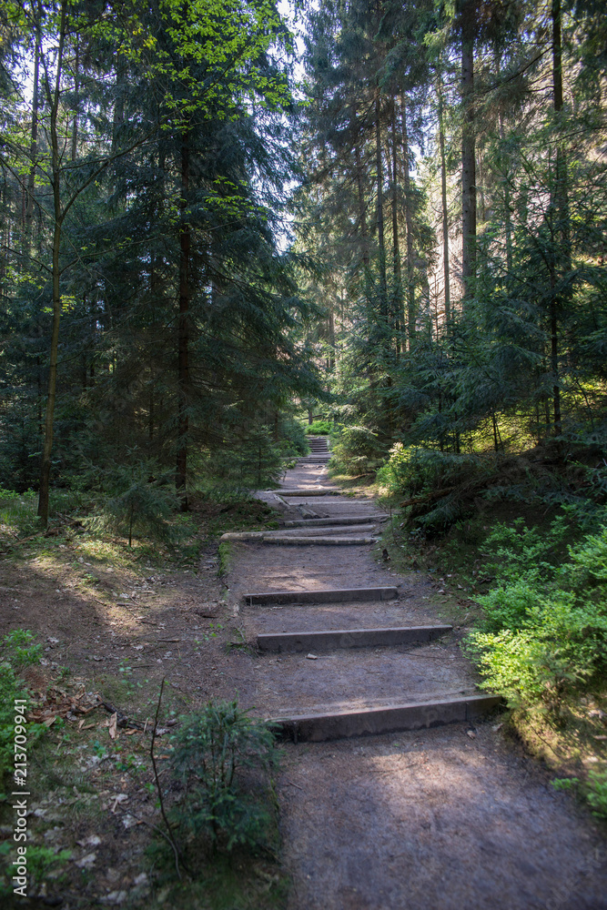 Obraz premium sächsische schweiz schrammsteine bastei lilienstein wandern