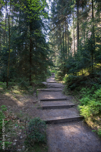 s  chsische schweiz schrammsteine bastei lilienstein wandern