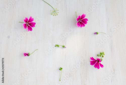 purple flowers small on white wooden background 
