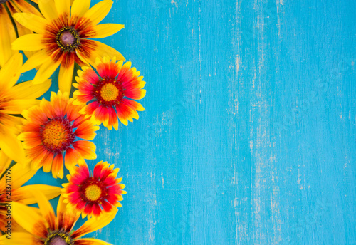 yellow flowers on a bright blue wooden background