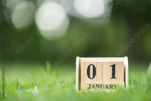 wood cube calendar on 1 january on green grass field , begin of new year