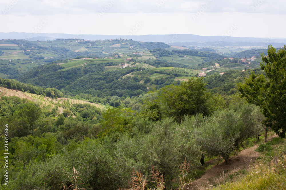 Smartno / San Martino, Brda region, Slovenia