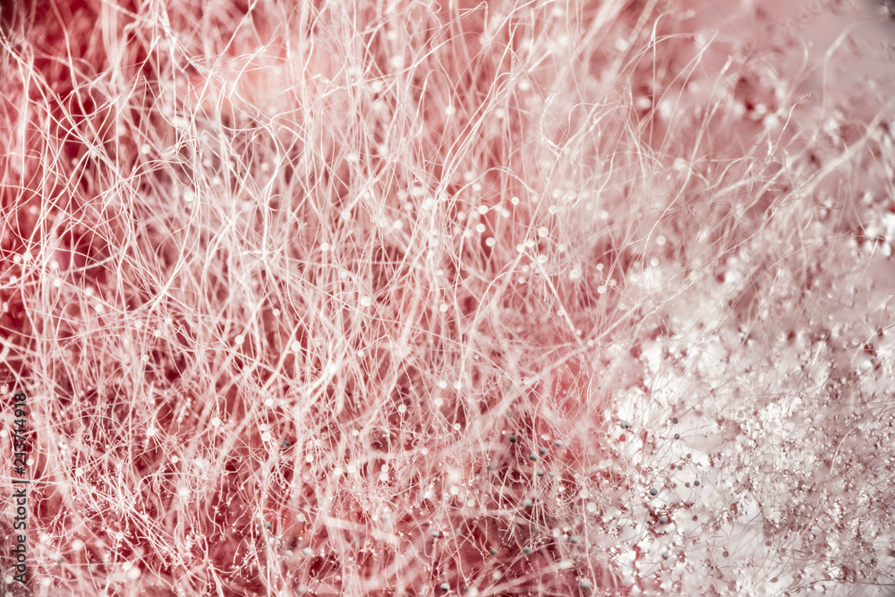 Fototapeta premium food mold on red drink, fungus development on food, microbiology macro abstract background