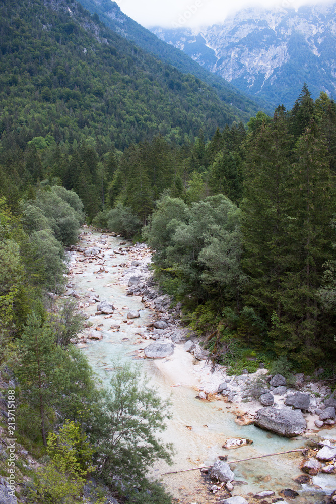 Obraz premium Beautiful Soča river in Triglav national park, Slovenia