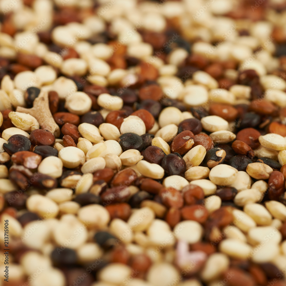 Surface coated with the quinoa seeds Surface coated with the quinoa seeds