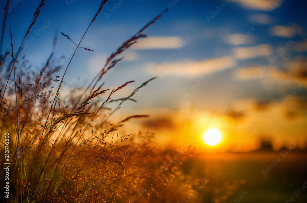 Obraz premium The sky and sunset with the field