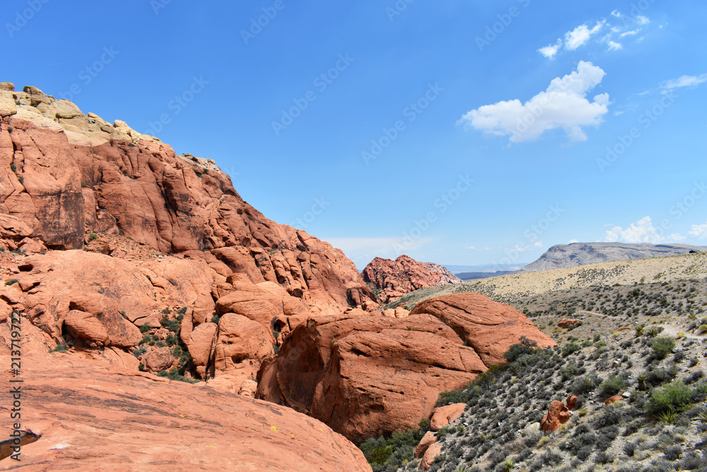 Fototapeta premium Red Rock Canyon