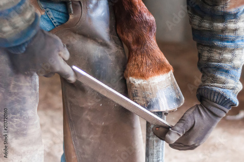 Blacksmith putting up the horse shoes
