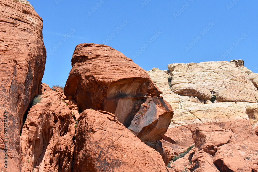 Fototapeta premium Red Rock Canyon
