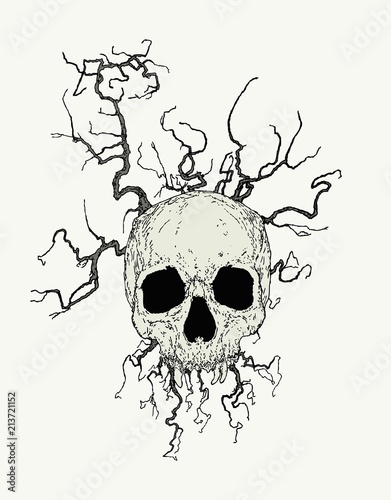 Vector Skull with branches