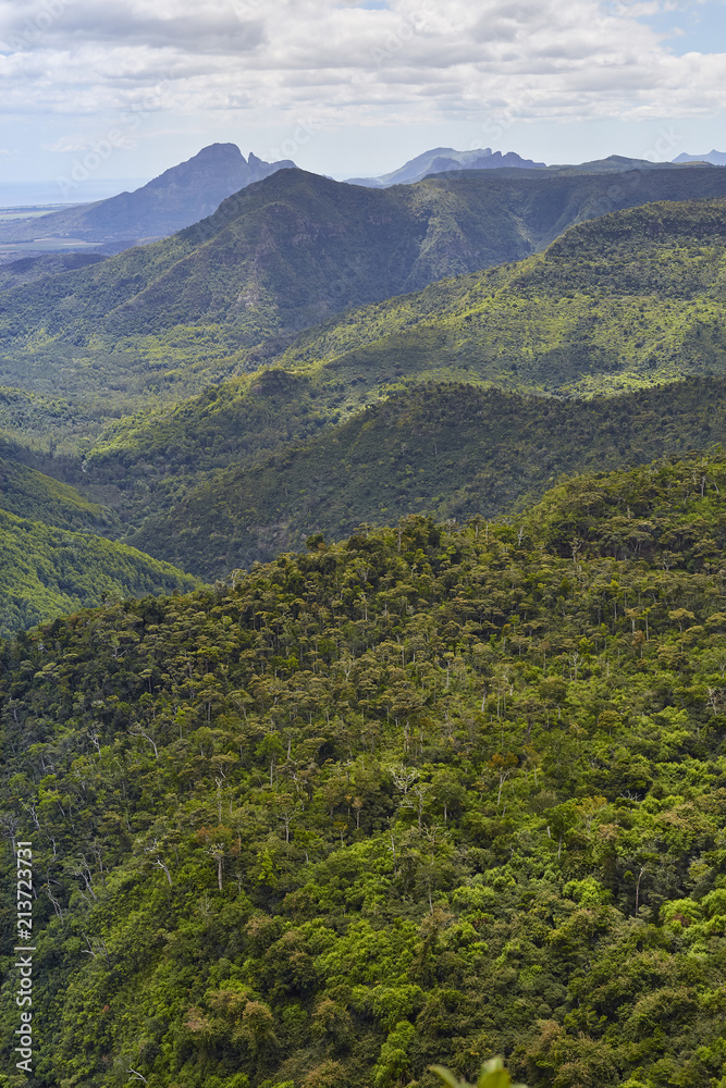 Fototapeta premium Black River Valley 2