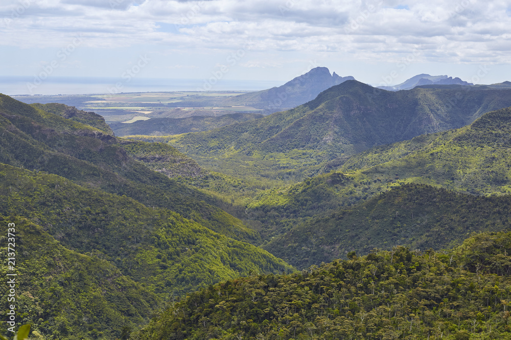 Naklejka premium Black River Valley