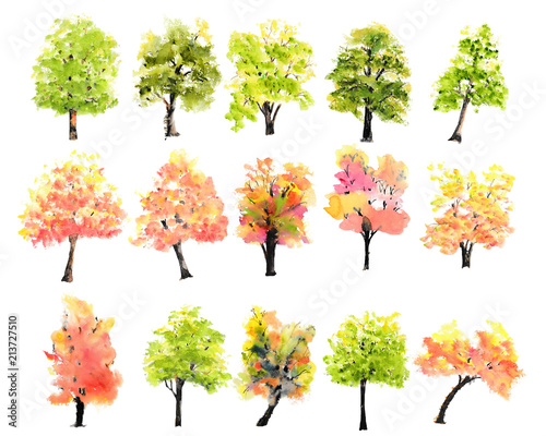 Collection of watercolor trees on white background, hand painted, tree illustrator