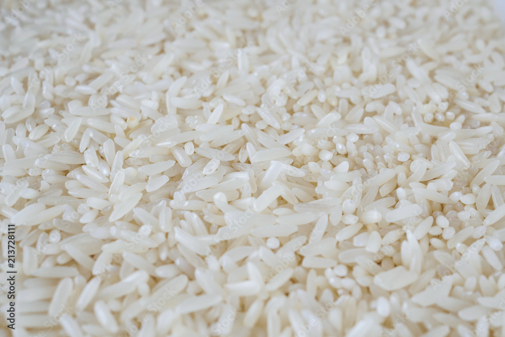 Thailand Jasmine rice texture background close up Thailand Jasmine rice texture background close up