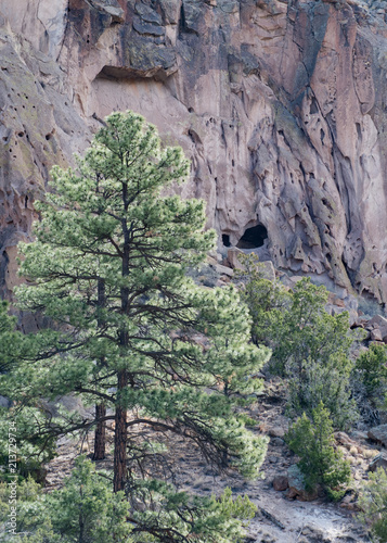 Cliff Cave with Evergreen photo