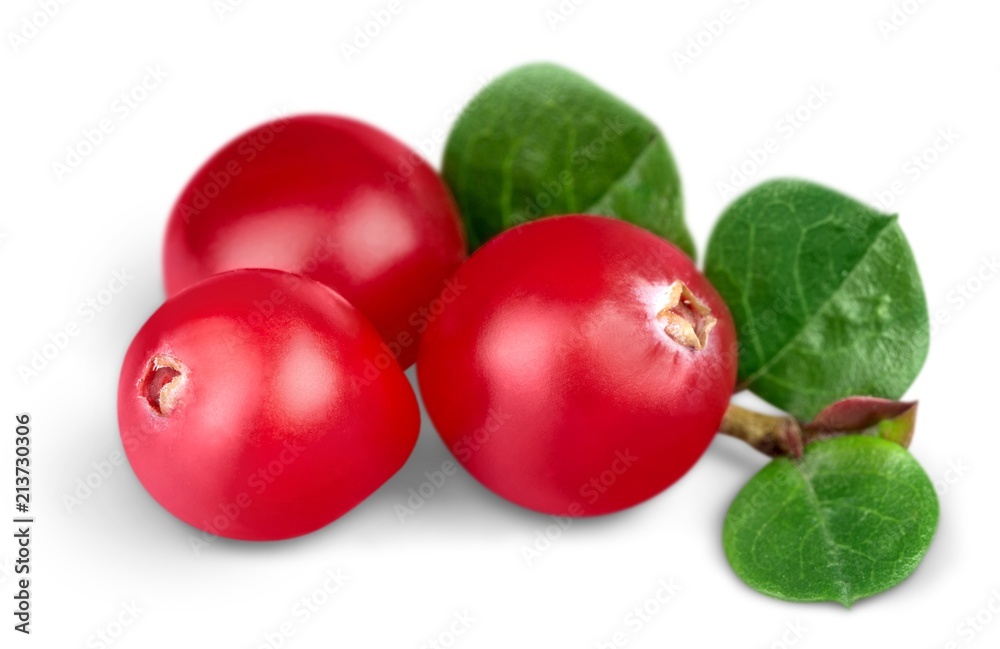 Cranberries Cranberries
