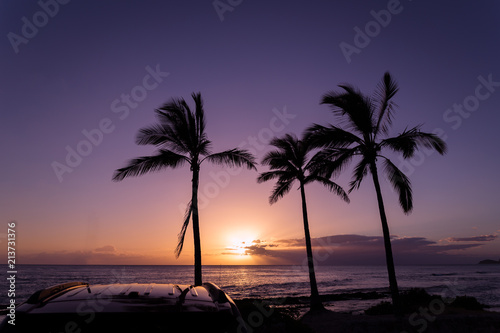 Beautiful purple sunset over pacific ocean and three palms and car roof on Oahu, Hawaii