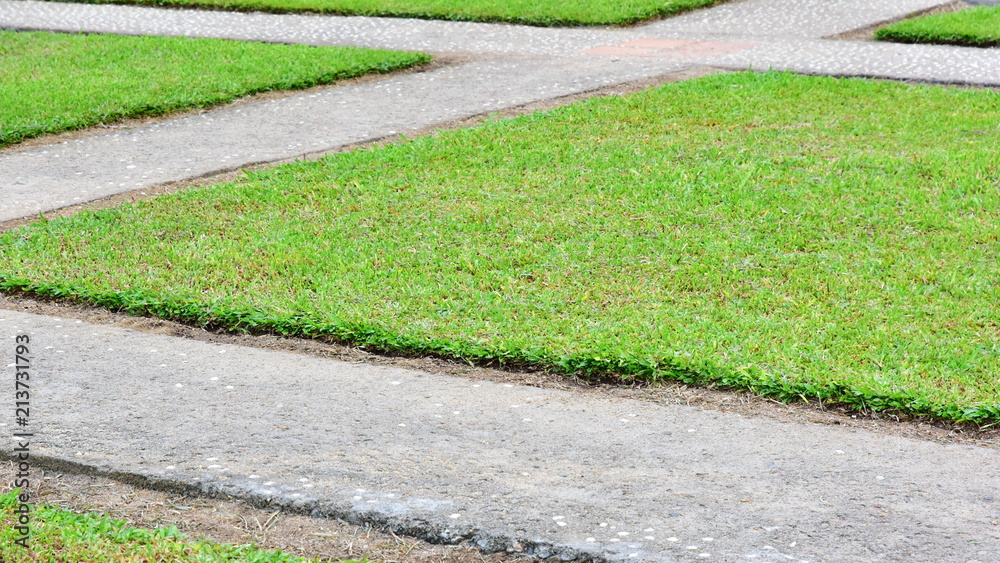 Green grass, old concrete paths criss cross Green grass, old concrete paths criss cross