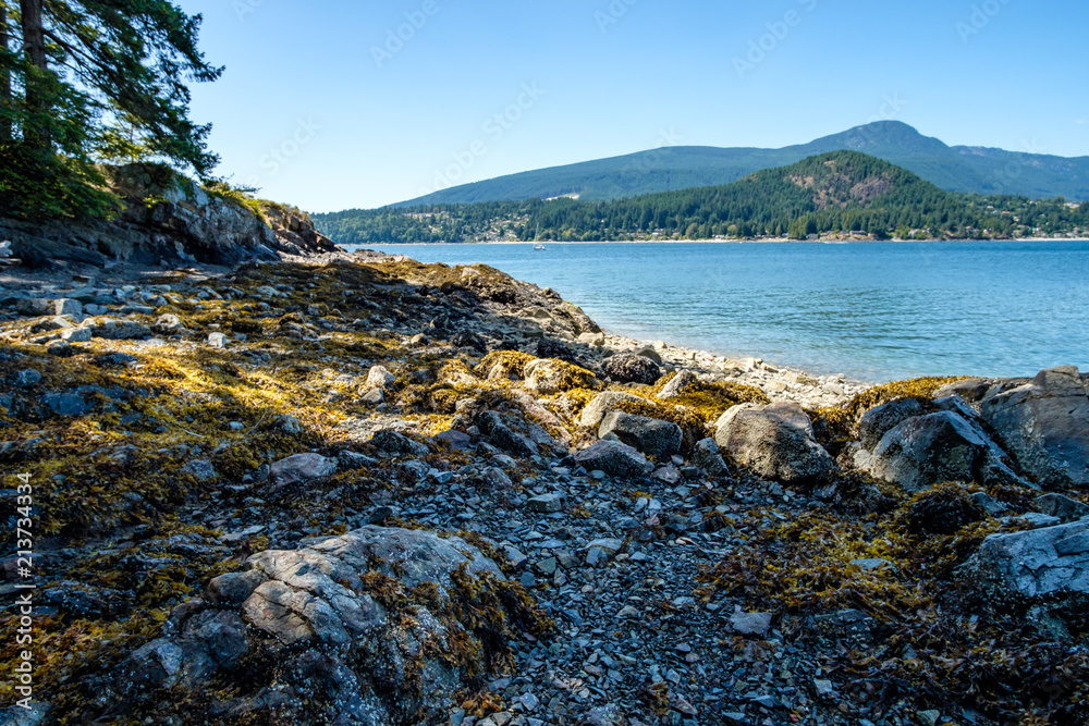 green algae covered rocky beach under the blue sky with forest covered mountains on the far side