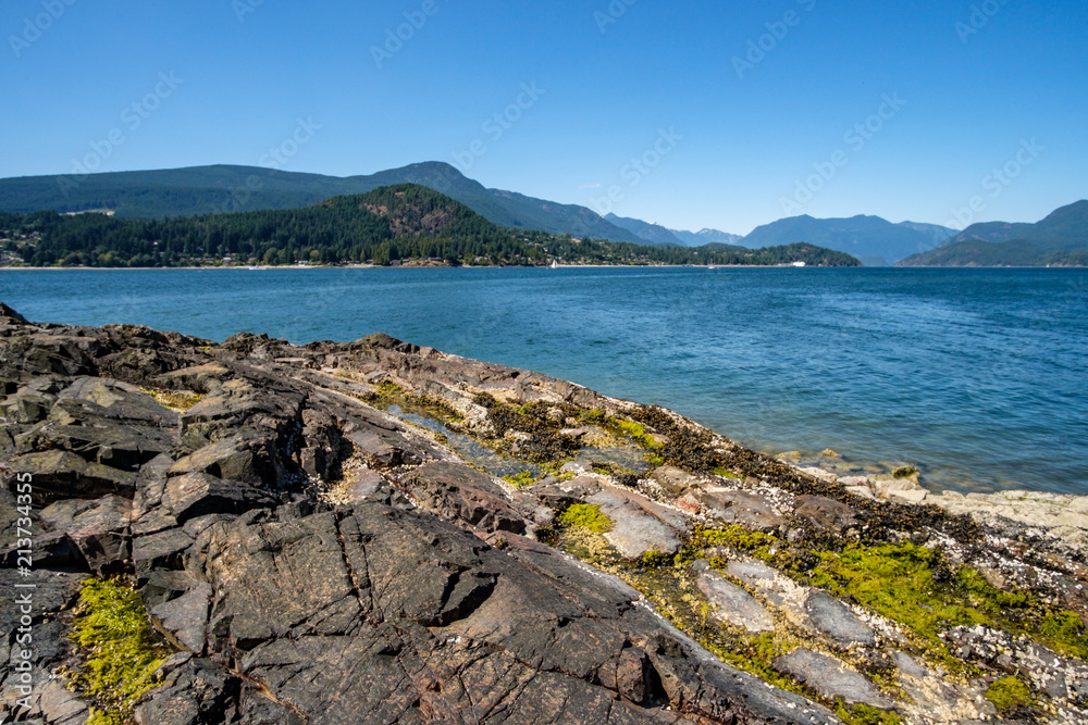 green algae covered rocky beach under the blue sky with forest covered mountains on the far side