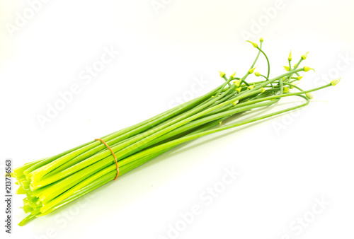 Scallion Flower