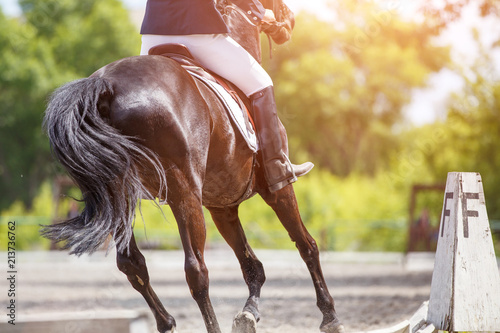 Young girl riding horse on equestrian competition. Equestrian dressage sport background with copy space