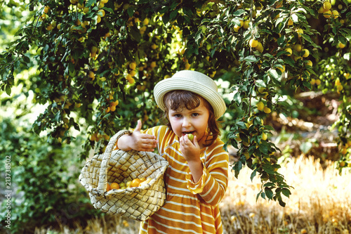 The little girl in the garden picking berries