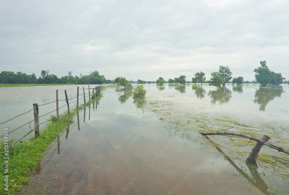 Agricultural area was flooded
