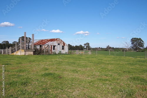 Old rural farm shed and life stock loading ramp at a rural setting in the late afternoon sun, Victoria, Australia 2018