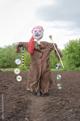 scarecrow stuffed in the garden
