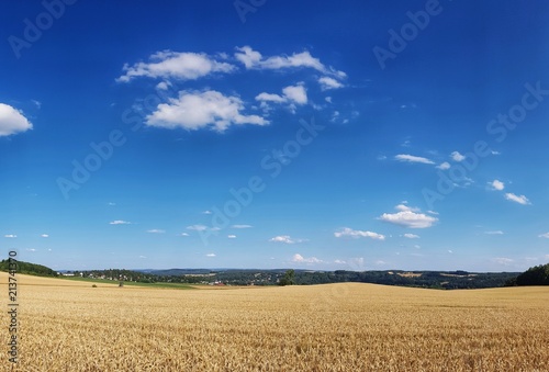 scenic panorama view of natural landscape under a cloudy sky 