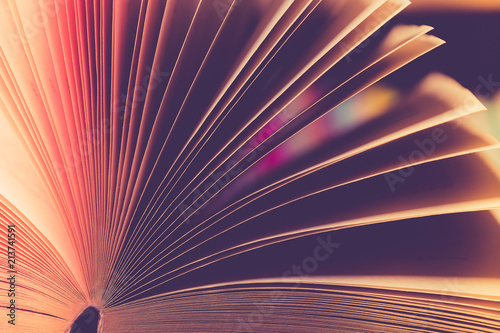 open book on a rustic wooden table.