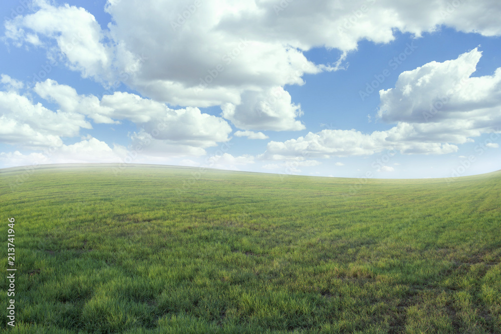 Beautiful meadow and sky-color effect