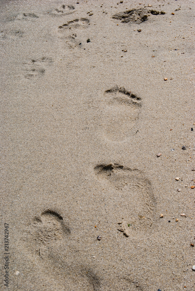 Vertical photo of footprints on the wet sand on sunny day Vertical photo of footprints on the wet sand on sunny day