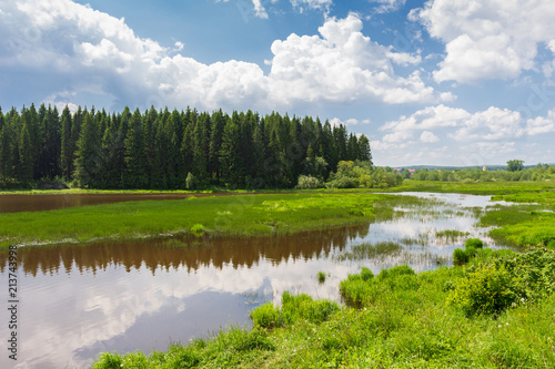 The scenery is beautiful Russian nature in the Urals in the summer.