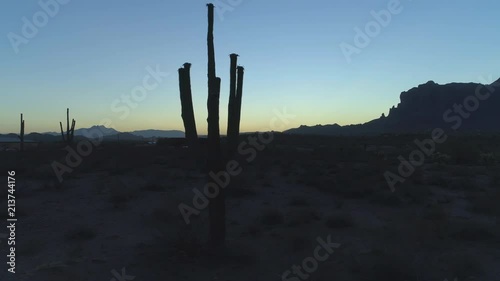 Wallpaper Mural 4K Dolly of Iconic Sonoran Saguaro Cactus Silhouette During Twilight Torontodigital.ca