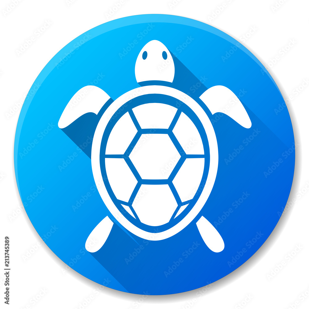Obraz premium turtle blue circle icon design