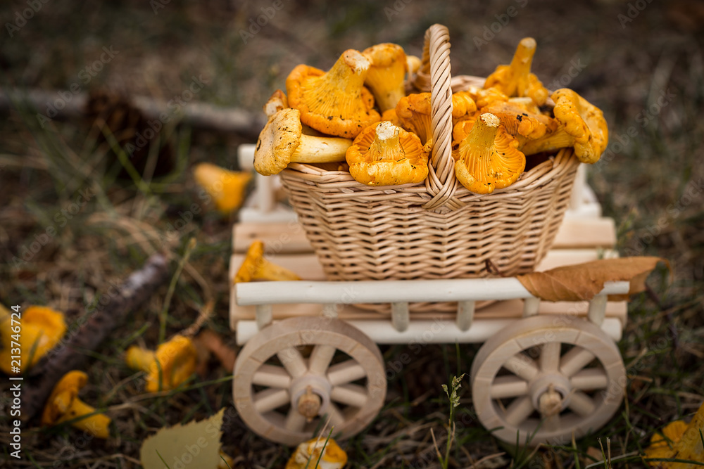 A wooden cart with fresh mushrooms. Vegetarian food. A wooden cart with fresh mushrooms. Vegetarian food.