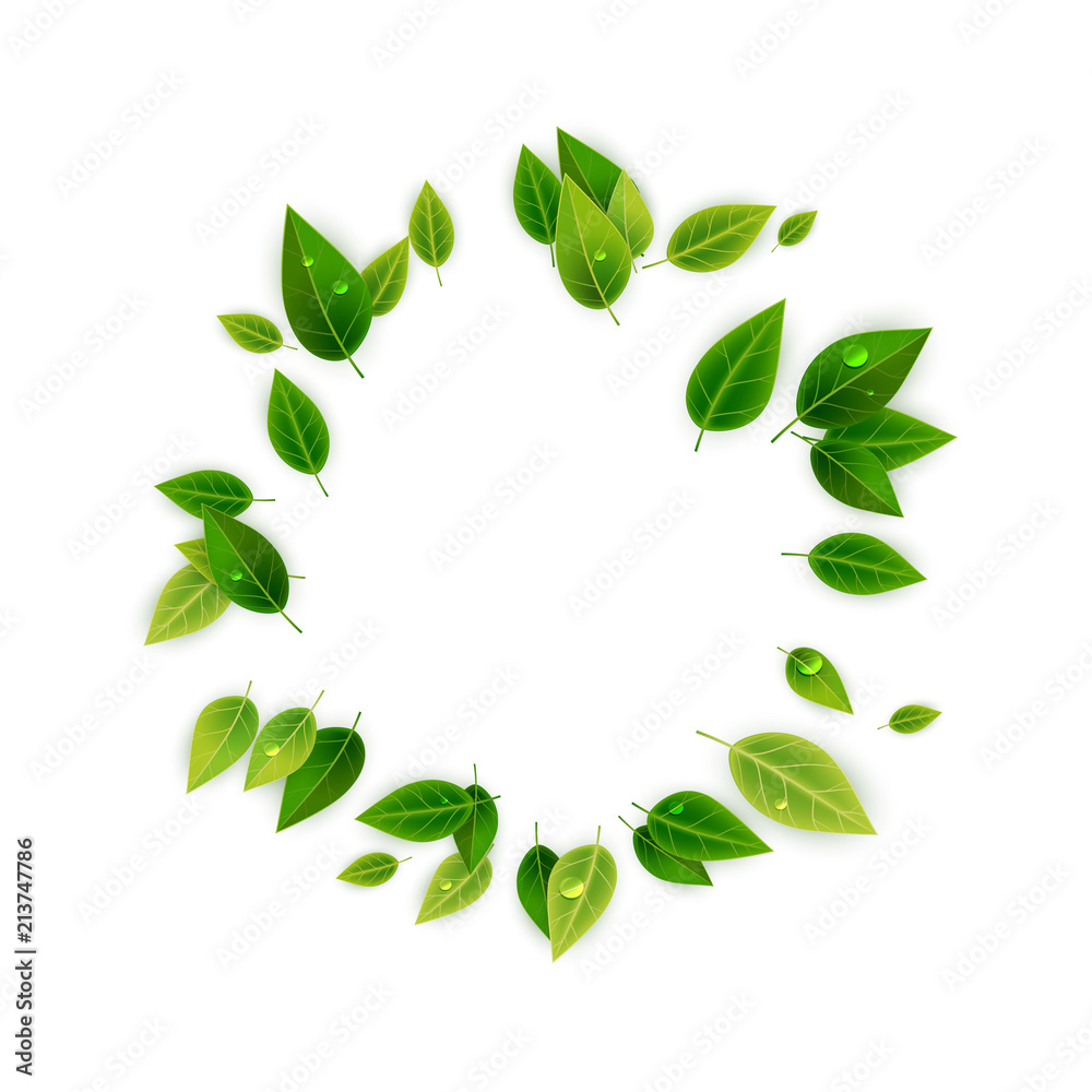Green leaves decorative frame, vector illustration