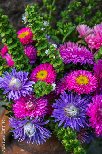 Pink and purple flowers of Aster. Bouquet of flowers. Green basil.