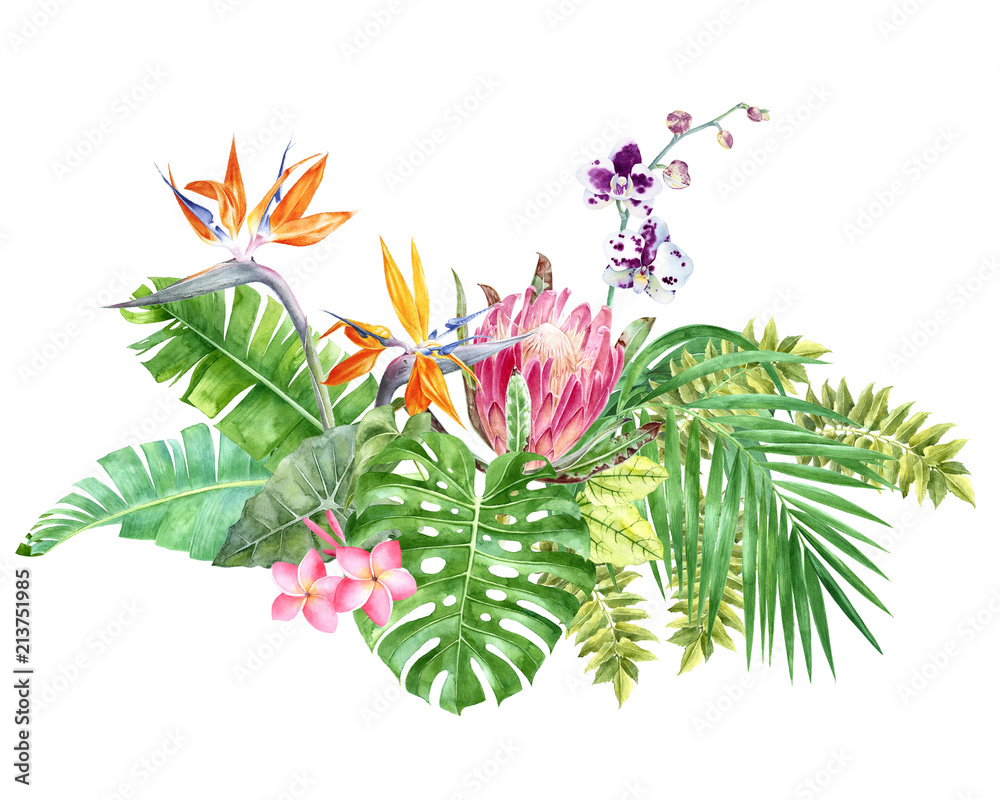 Bright tropical border with jungle leaves and flowers