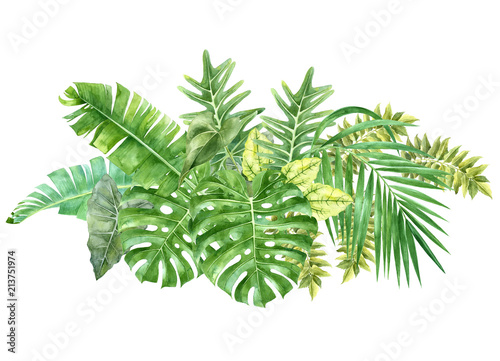 Tropical border with watercolor jungle leaves