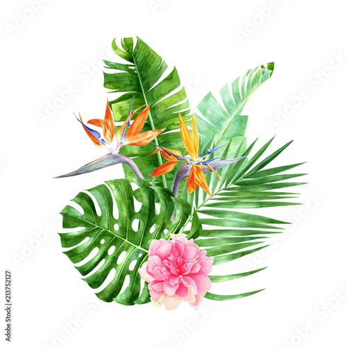 Billede på lærred Tropical composition with jungle plants and flowers