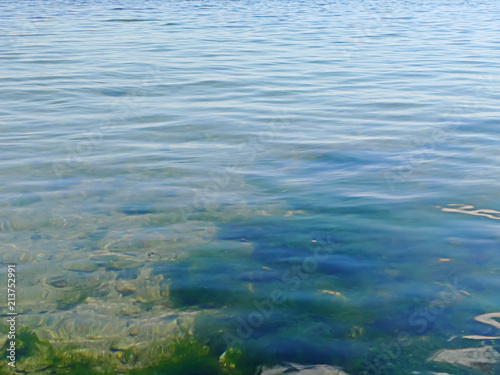 background of beautiful green algae with stones and sand under the transparent water of black sea in Odessa, Ukraine