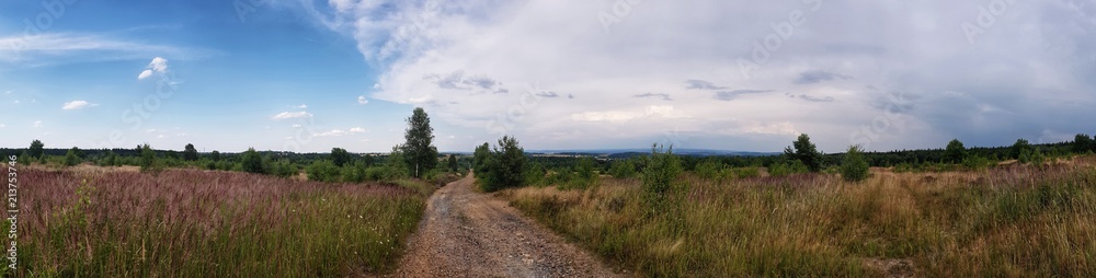 scenic panorama view of natural landscape under a cloudy sky