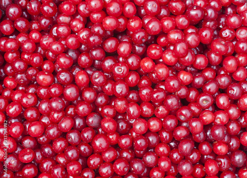 texture of many cherry fruit from the garden texture of many cherry fruit from the garden